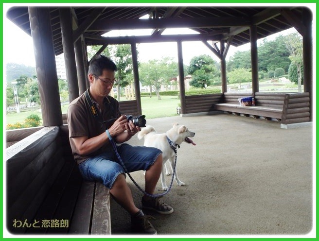 f:id:yasukazu01:20140817205233j:image f:id:yasukazu01:20140817205233j:image
