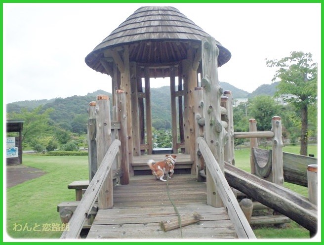 f:id:yasukazu01:20140817205706j:image f:id:yasukazu01:20140817205706j:image