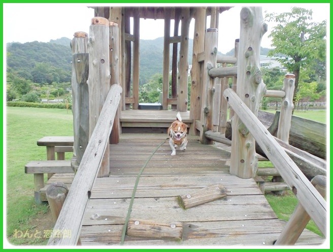 f:id:yasukazu01:20140817205808j:image f:id:yasukazu01:20140817205808j:image