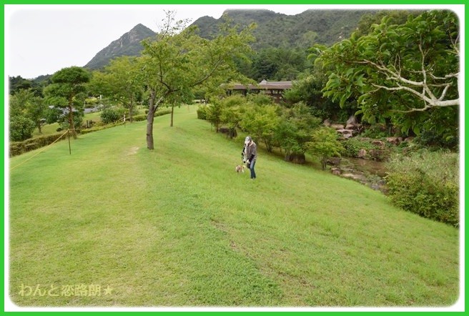 f:id:yasukazu01:20140817205959j:image f:id:yasukazu01:20140817205959j:image