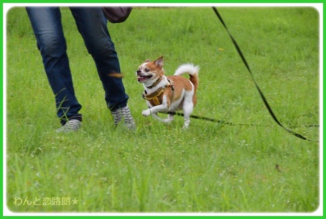 f:id:yasukazu01:20140817210205j:image f:id:yasukazu01:20140817210205j:image