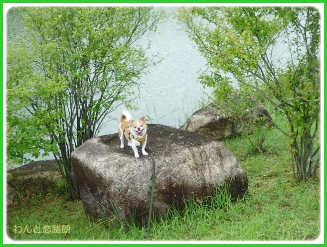 f:id:yasukazu01:20140818213440j:image f:id:yasukazu01:20140818213440j:image