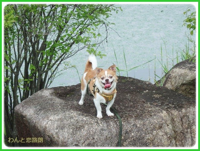 f:id:yasukazu01:20140818213650j:image f:id:yasukazu01:20140818213650j:image
