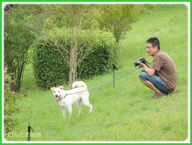 f:id:yasukazu01:20140818214024j:image f:id:yasukazu01:20140818214024j:image