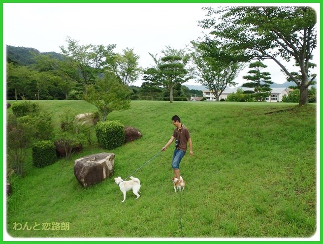 f:id:yasukazu01:20140818214122j:image f:id:yasukazu01:20140818214122j:image