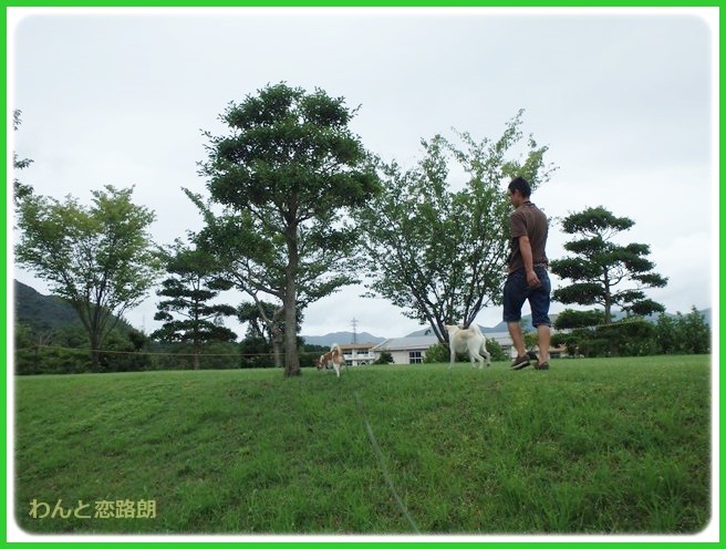 f:id:yasukazu01:20140818214246j:image f:id:yasukazu01:20140818214246j:image