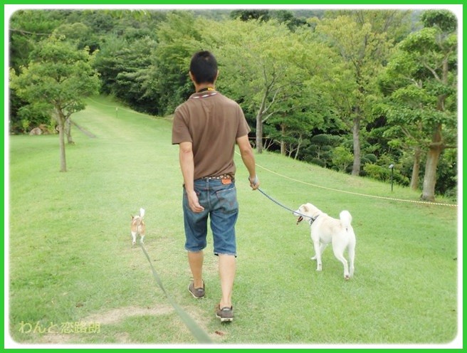 f:id:yasukazu01:20140818214339j:image f:id:yasukazu01:20140818214339j:image