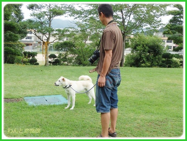 f:id:yasukazu01:20140818221108j:image f:id:yasukazu01:20140818221108j:image