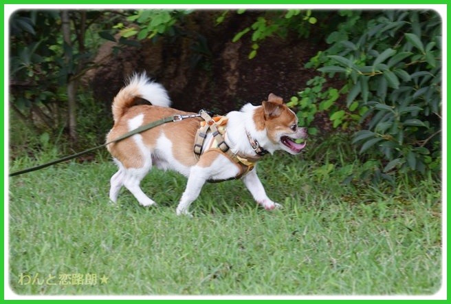 f:id:yasukazu01:20140818221433j:image f:id:yasukazu01:20140818221433j:image