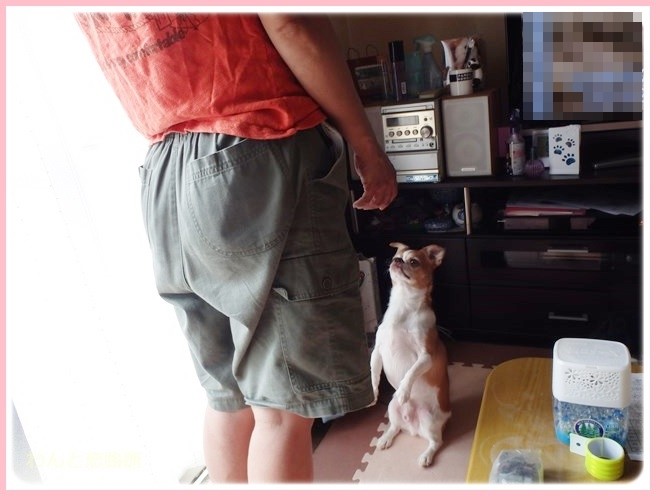 f:id:yasukazu01:20140824222128j:image