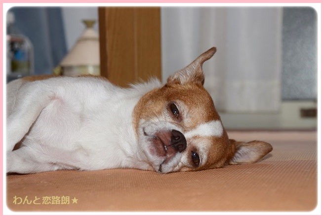 f:id:yasukazu01:20140824223029j:image