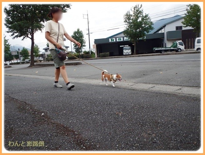 f:id:yasukazu01:20140825204705j:image