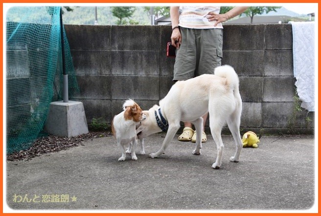 f:id:yasukazu01:20140904201951j:image f:id:yasukazu01:20140904201951j:image