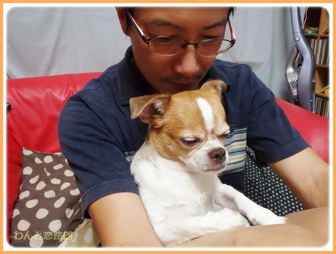 f:id:yasukazu01:20140913224745j:image