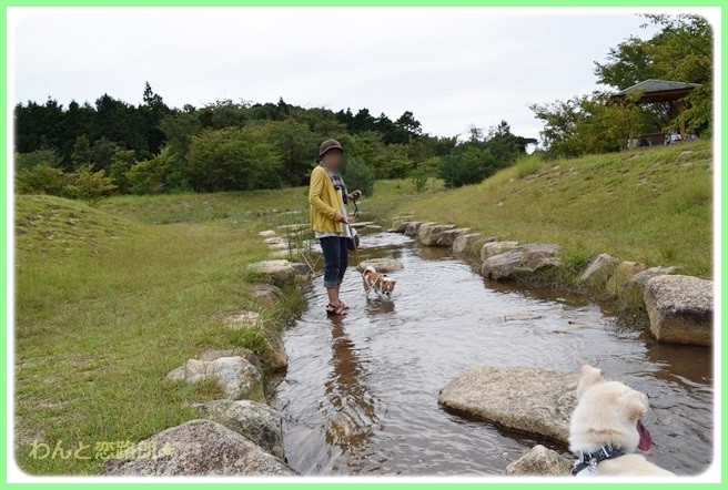 f:id:yasukazu01:20140919222018j:image