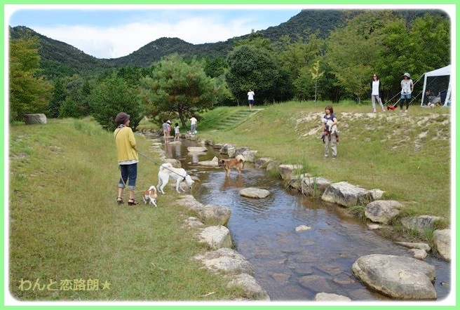f:id:yasukazu01:20140919222333j:image