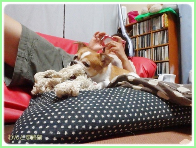 f:id:yasukazu01:20140921222047j:image