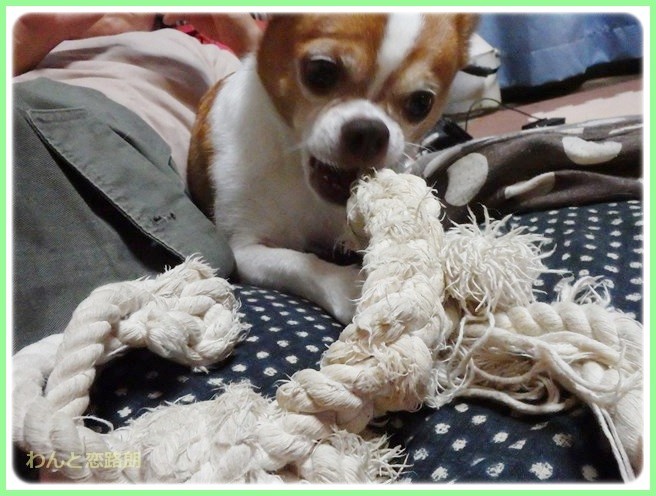 f:id:yasukazu01:20140921222235j:image