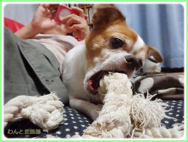 f:id:yasukazu01:20140921222433j:image