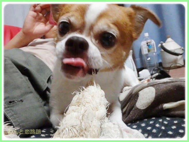 f:id:yasukazu01:20140921222516j:image