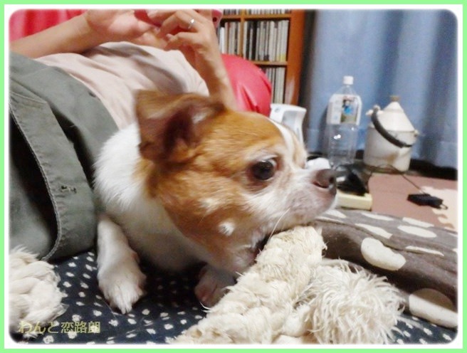 f:id:yasukazu01:20140921222648j:image