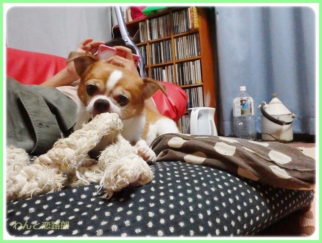 f:id:yasukazu01:20140921222730j:image
