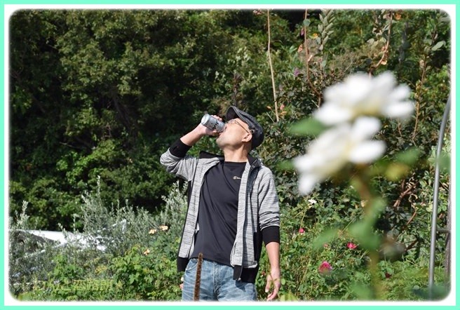 f:id:yasukazu01:20141005202625j:image