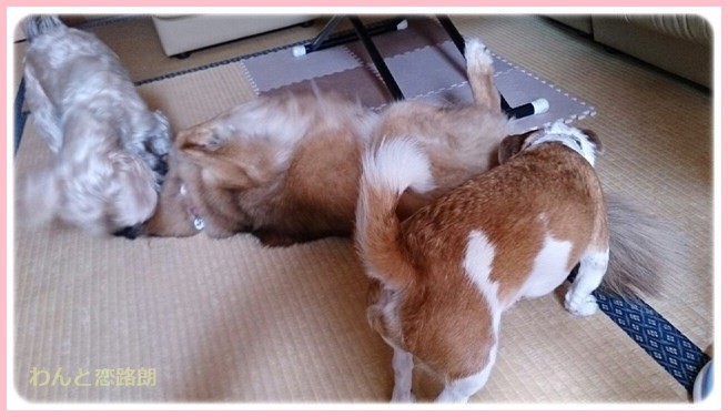 f:id:yasukazu01:20141008201158j:image