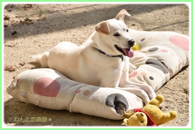 f:id:yasukazu01:20141009223149j:image