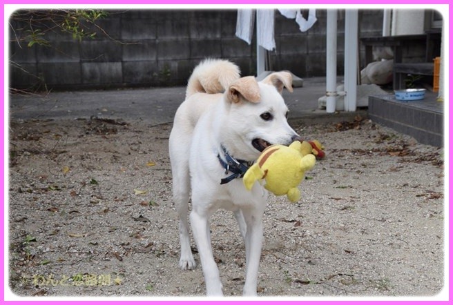f:id:yasukazu01:20141011194321j:image
