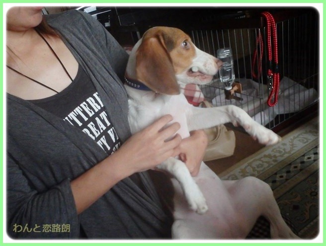 f:id:yasukazu01:20141011202432j:image