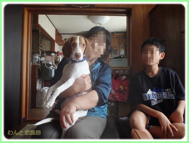 f:id:yasukazu01:20141011202737j:image