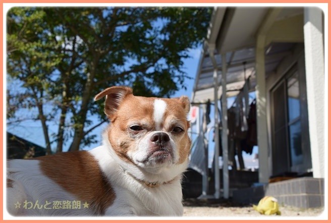 f:id:yasukazu01:20141018202744j:image