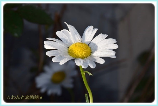 f:id:yasukazu01:20141019200835j:image