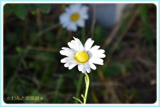 f:id:yasukazu01:20141019201422j:image