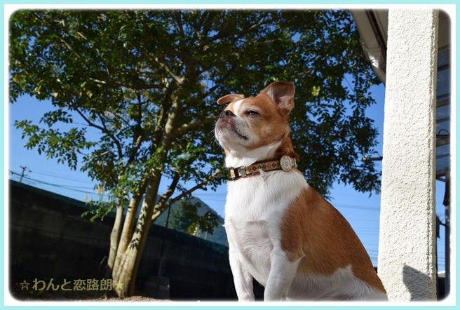 f:id:yasukazu01:20141019203353j:image