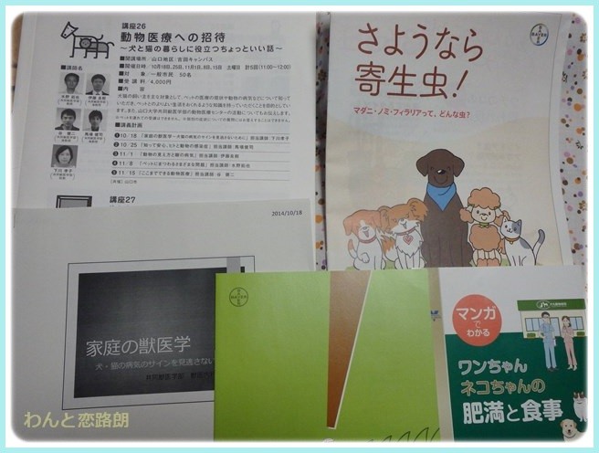 f:id:yasukazu01:20141019205337j:image