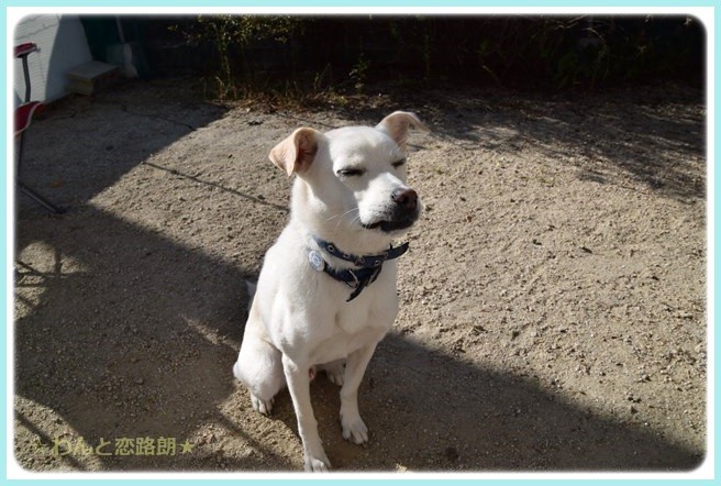 f:id:yasukazu01:20141020215835j:image