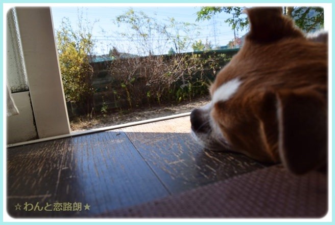 f:id:yasukazu01:20141020220841j:image