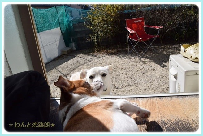 f:id:yasukazu01:20141021221704j:image