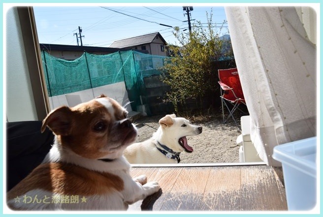f:id:yasukazu01:20141021221730j:image