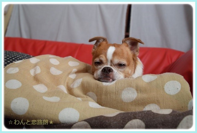f:id:yasukazu01:20141021221850j:image