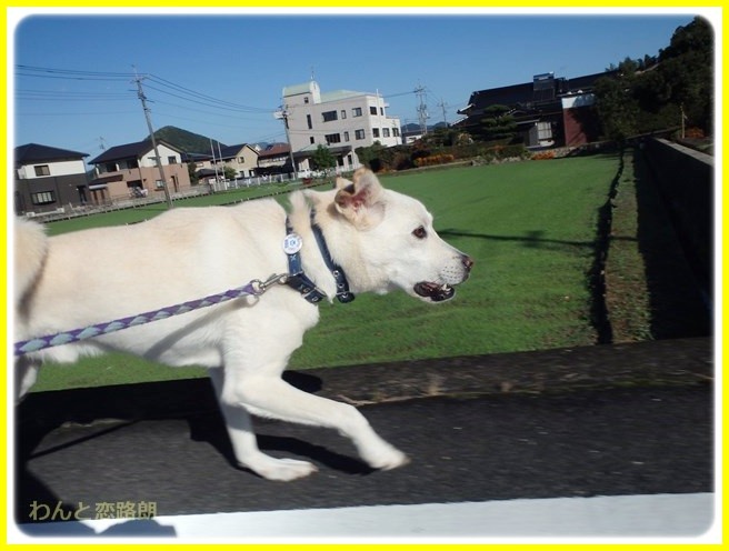 f:id:yasukazu01:20141023190559j:image
