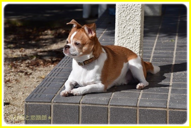 f:id:yasukazu01:20141023191733j:image