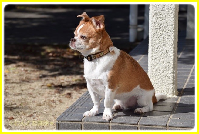 f:id:yasukazu01:20141023193501j:image