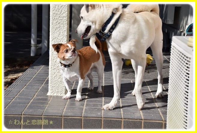 f:id:yasukazu01:20141024222827j:image