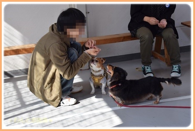 f:id:yasukazu01:20141025201247j:image