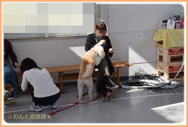 f:id:yasukazu01:20141025201721j:image