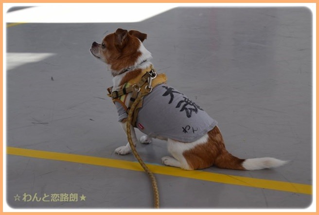 f:id:yasukazu01:20141025201941j:image