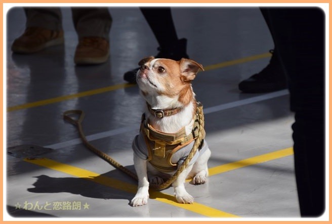f:id:yasukazu01:20141025202600j:image